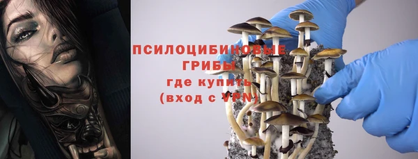 альфа пвп Михайловск