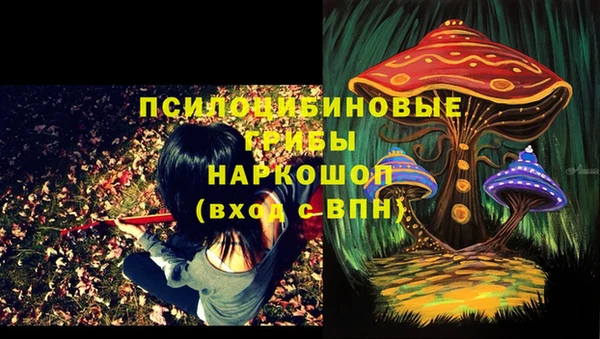 альфа пвп Михайловск