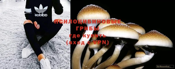 альфа пвп Михайловск