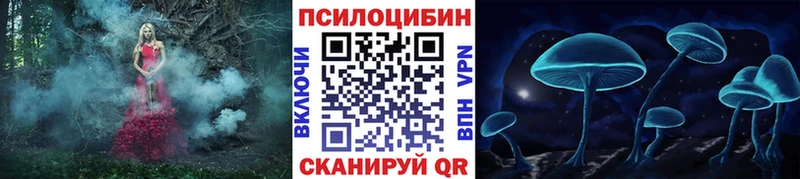 Псилоцибиновые грибы мицелий  наркотики  Наволоки 